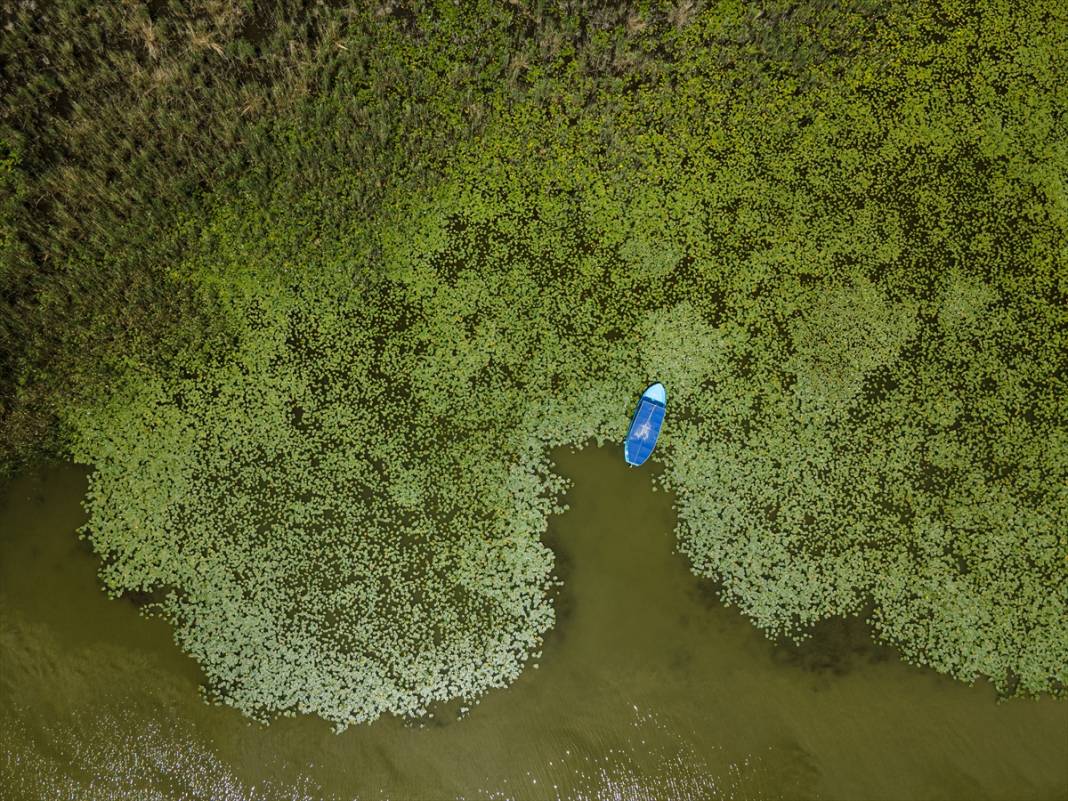 Konya’da beklenen an! Doğanın sessiz mucizesi göz kamaştırmaya başladı 4